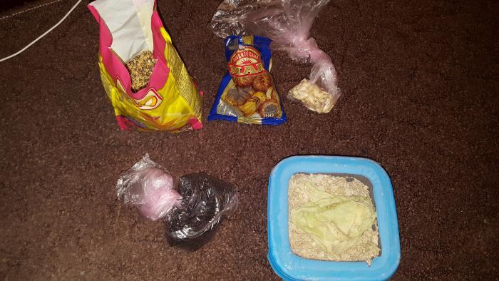 2016-11-21 21-08-26.JPG